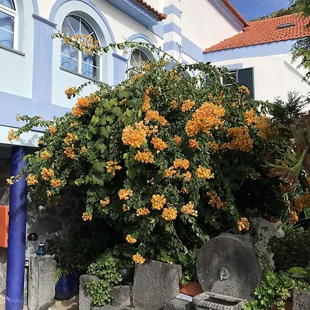 Casa Do Antonio 3*