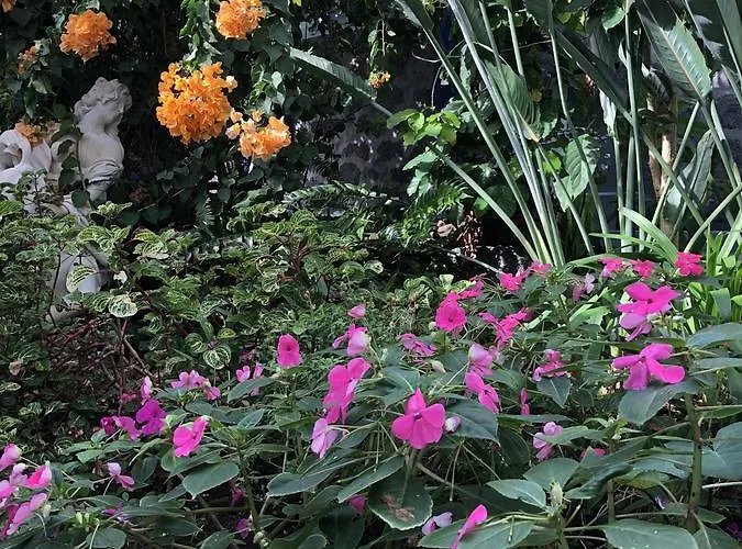 Guest house Casa Do Antonio Velas